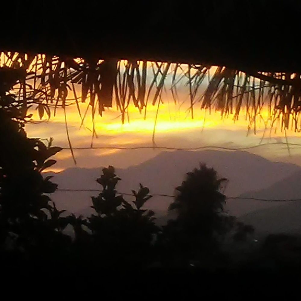 Meet your Posher, Silvia